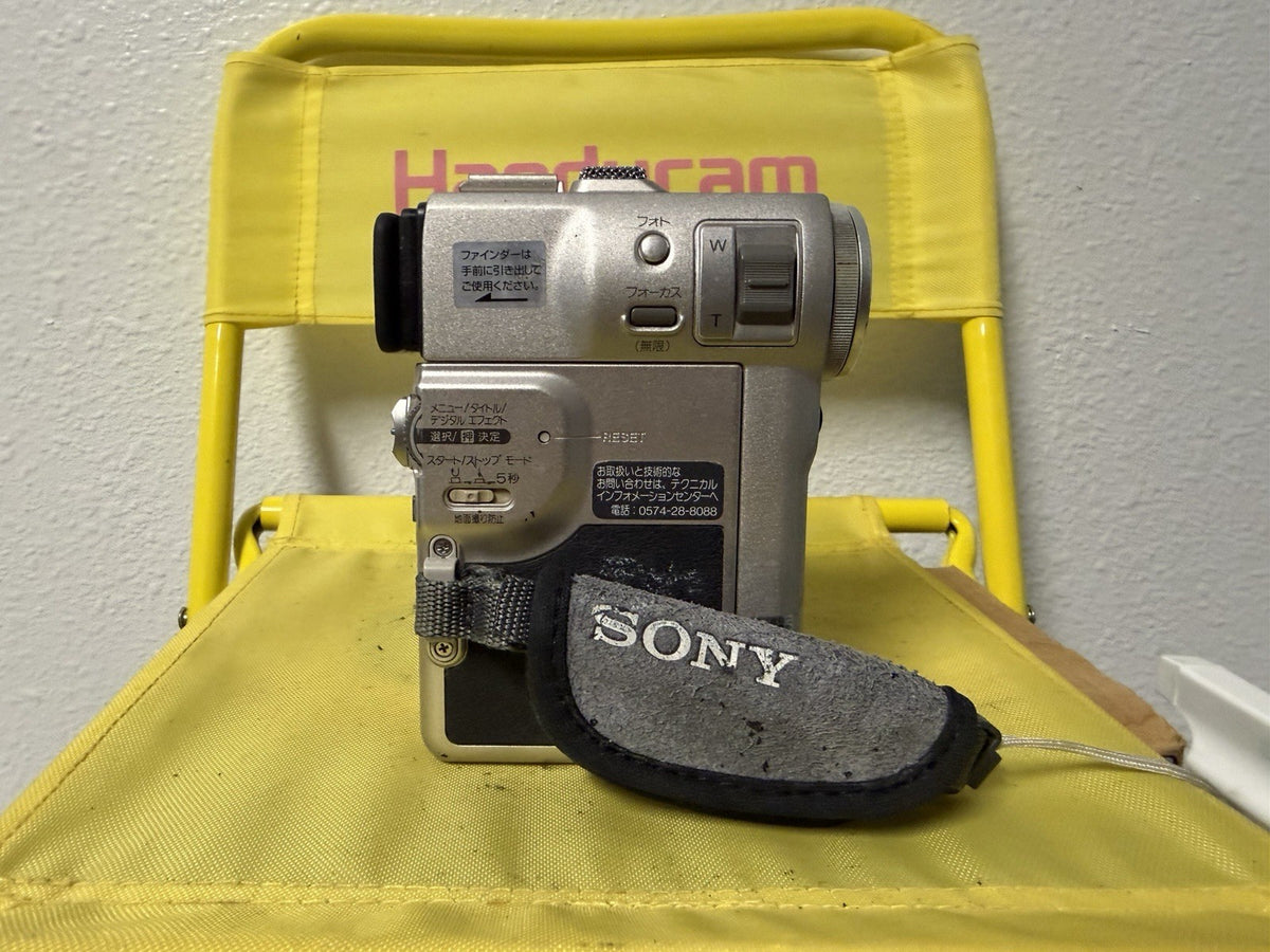 49381120